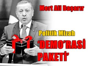 Erdoğan'ın 'DEMO'rasi Paketi