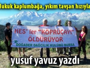 Hukuk kaplumbağa, yıkım tavşan hızıyla!