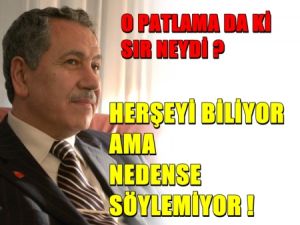 Arınç'ın Bildiği Her şey Ne ?