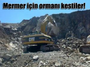 Muhtarın taş ocağı isyanı