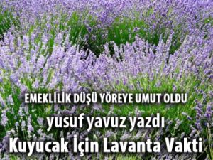 Kuyucak için lavanta vakti