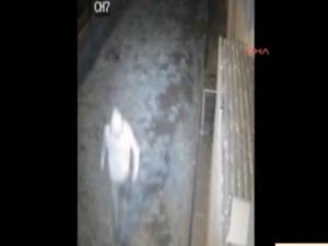 Çapulcular meğer silahlı gasp, ve, soygun yapmış!