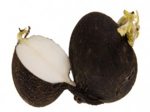 ÜNİVERSİTEDEN BÖBREK TAŞI DERDİ OLANLARA MÜJDE