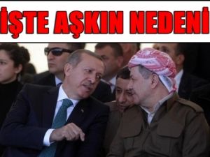 'Kürdistan' Sevdasının Arkasında Ne Yatıyor