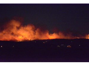 BURSA ORMANLARINDAKİ YANGINDAN KÖTÜ HABER