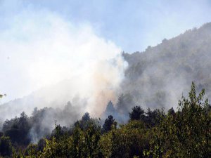 ZONGULDAK ALEVE TESLİM OLDU