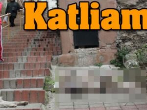 İzmir'de Kedi Katliamı