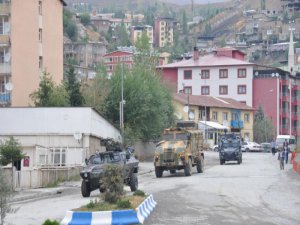 DAĞLICA BÖLGESİNDE BÜYÜK HAREKETLİLİK