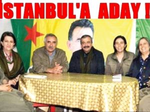 Light BDP Genel Başkan Yardımcısı, Aday Adayı