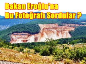 Bakan Eroğlu'na bu fotoğrafı sordular, 'problem yok' dedi!