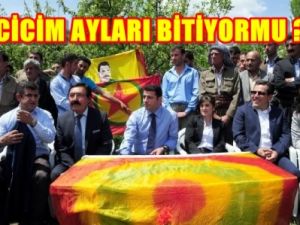 Süreç Aşkında Cicim Ayları Bitiyor mu?