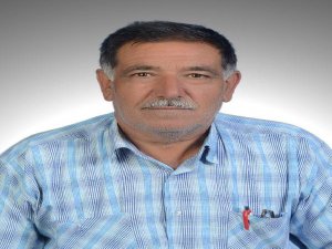 BAL ARISI ZEHRİ ÖLDÜRÜR MÜ DİYENLER OKUSUN