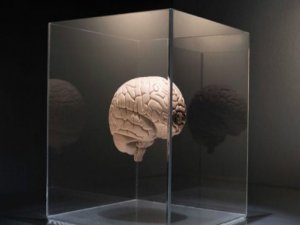 BEYNİ YAŞLANMAKTAN KORUMANIN 6 YOLU