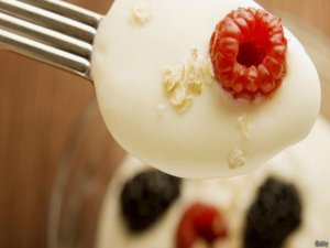 GÜZEL YOĞURT NASIL YAPILIR DİYENLER OKUSUN