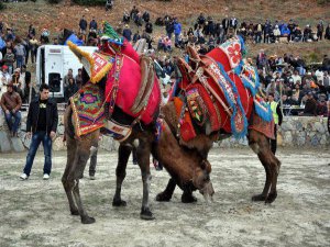 BİR ALKOL YASAĞI DAHA