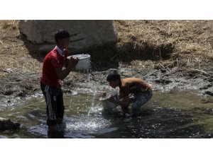 KOLERA SALGINI BÜYÜYOR SON RAKAM 533