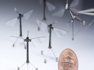 BU ARININ YAPTIKLARINA İNANMAYACAKSINIZ