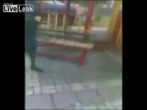 PARKTA OYNAYAN ÇOCUĞA ASLAN SALDIRDI