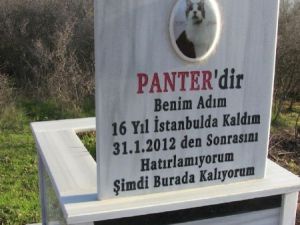 Kedisine Mermer mezar Yaptırdı