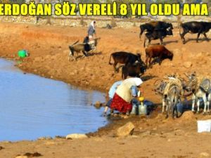 Erdoğan Söz Vereli 8 Yıl Olmuş ama Çile Bitmemiş