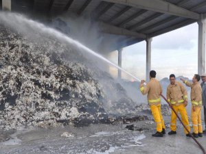 5 BİN TON PAMUK KÜL OLDU