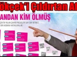 İşte Melih Gökçek'i Çıldırtan Pinokyo Afişi