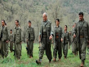 PKK'LI KALKAN:KÜRTLER BİRLİKTEN VAZGEÇEBİLİR