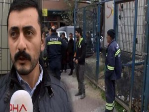 KEDİLER GÜNGÖRENDE ; 1.5 SAAT ELEKTRİK KESİLDİ