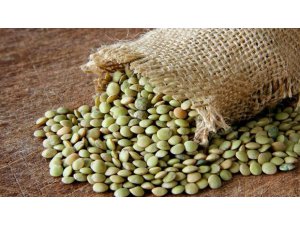 ZAYIFLATAN SÜPER BESİN: MERCİMEK