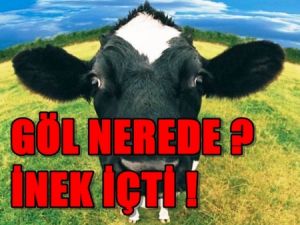 Göl nerede, inek içti!