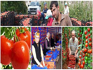 RUS KRİZİ İLK ÖNCE ONLARI VURDU