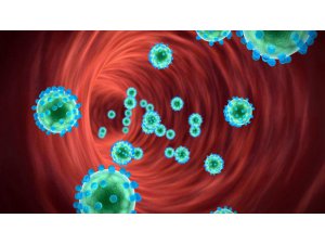 KANSERİ ÖLDÜREN PROTEİN