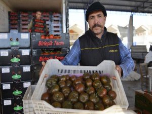 TURKISH AGRICULTURALISTS SEEK MEASURES AS FRESH PRODUCE PRICES PLUNGE AMID RUSSIA CRISIS