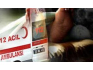 GÜNDÜZ AİLE BABASI, GECE TRAVESTİ ALEV