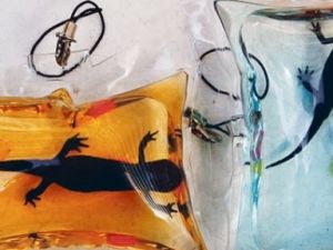 Bu Moda Hayvan Severleri Ayağa Kaldırdı