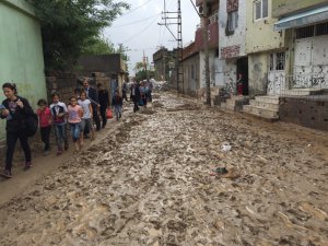 GÜNEYDOĞU'DA NELER OLUYOR