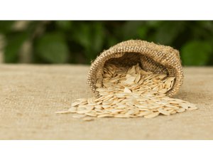 KABAK ÇEKİRDEĞİ HER DERDE DEVA