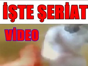 Bu Görüntüler Dünyayı Ayağa Kaldırdı