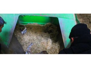 YARDIM ÇIĞLIKLARI ATARAK MAKİNENIN İÇİNDE CAN VERDİ