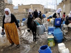 Eşşek Sudan Geliyor