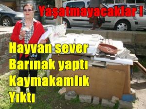 Hayvansever Barınak Yaptı kaymakamlık Yıktı !