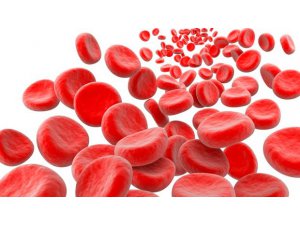 DEMİR EKSİKLİĞİ BELİRTİLERİ NELERDİR?