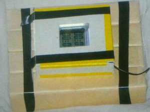 459 YOLCUYU BUNUNLA HAVAYA UÇURACAKLARDI