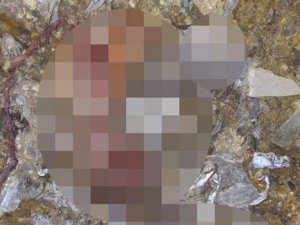 ÇÖPLÜKTE 26 CENİN BULUNDU