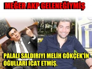 Palalı Saldırıyı Melih Gökçek'in Oğulları İcat Etmiş