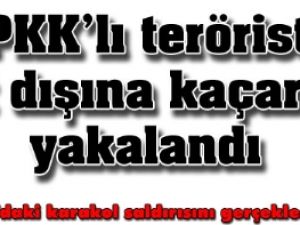 PKK'lı terörist yurt dışına kaçarken yakalandı