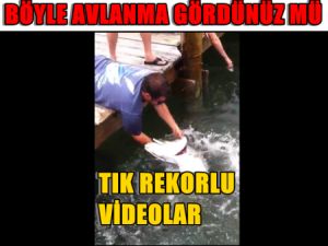 Şok Eden Balık Avı