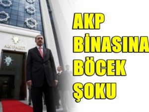AKP'ye Böcek Şoku