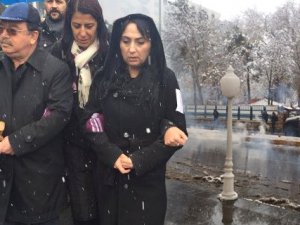 İÇİNDE HDP'LİLERİN OLDUĞU GRUPTAN POLİSE BOMBA ATILDI