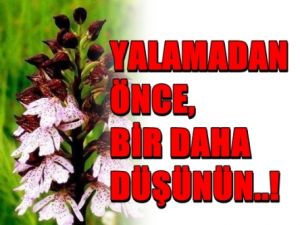 Yalamadan önce bir daha düşünün!